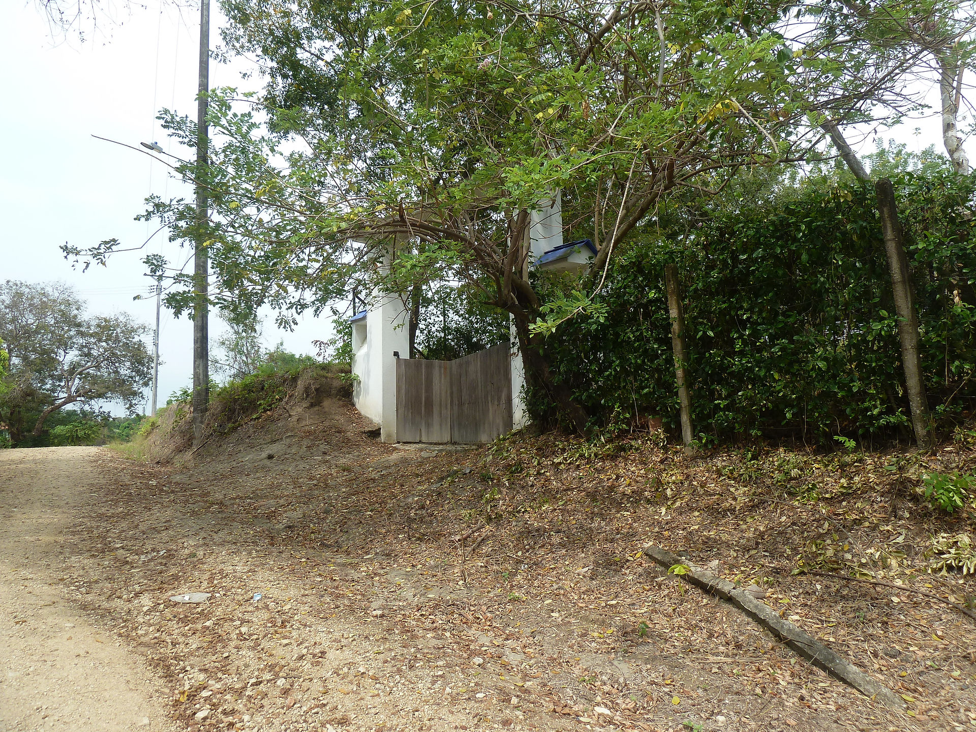 P1060653