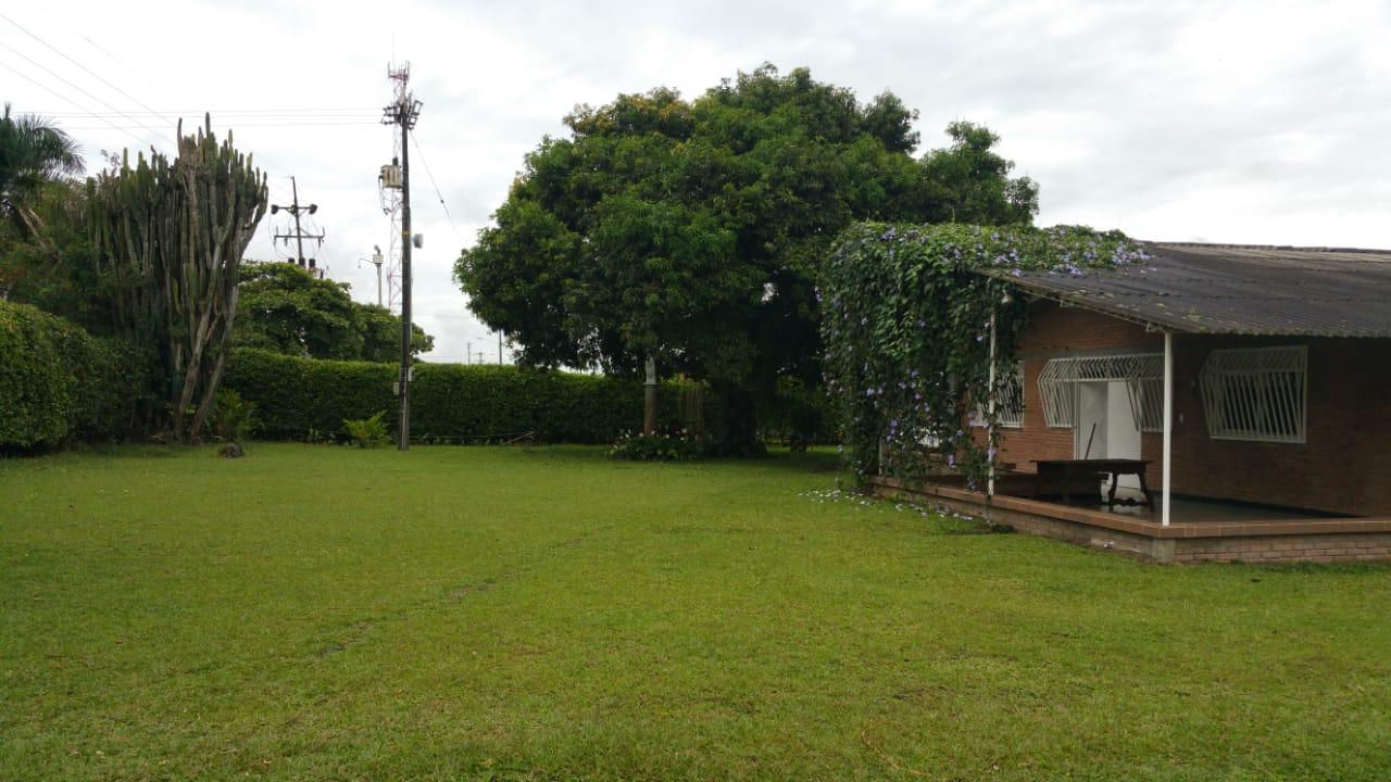 99a47646-4638-4de3-bb2b-9bd859440010