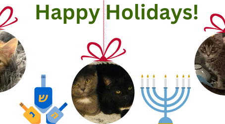 Holiday 2022 Newsletter