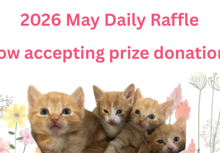 Request for donations to May Daily Raffle