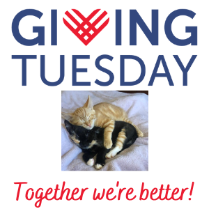 Giving Tuesday 2022
