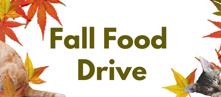 Fall Food Drive