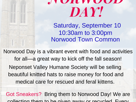 Join Us at Norwood Day, September 10th