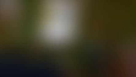 PARABIAGO - Cerimonia Ufficiale dell'Emissione Francobollo che celebra , nel Centenario dalla nascita, LIBERO FERRARIO.