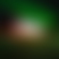 Lastebil av Børstad i nordlys