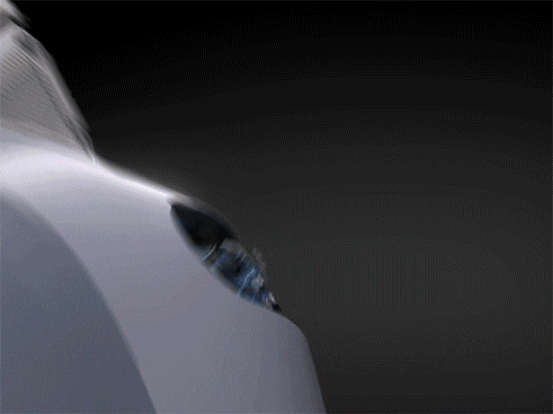 新卖点1.gif