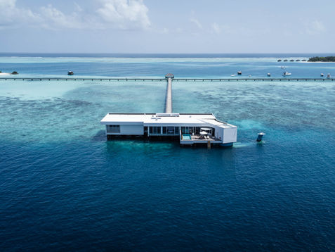 Freedom (1 of 6).jpg