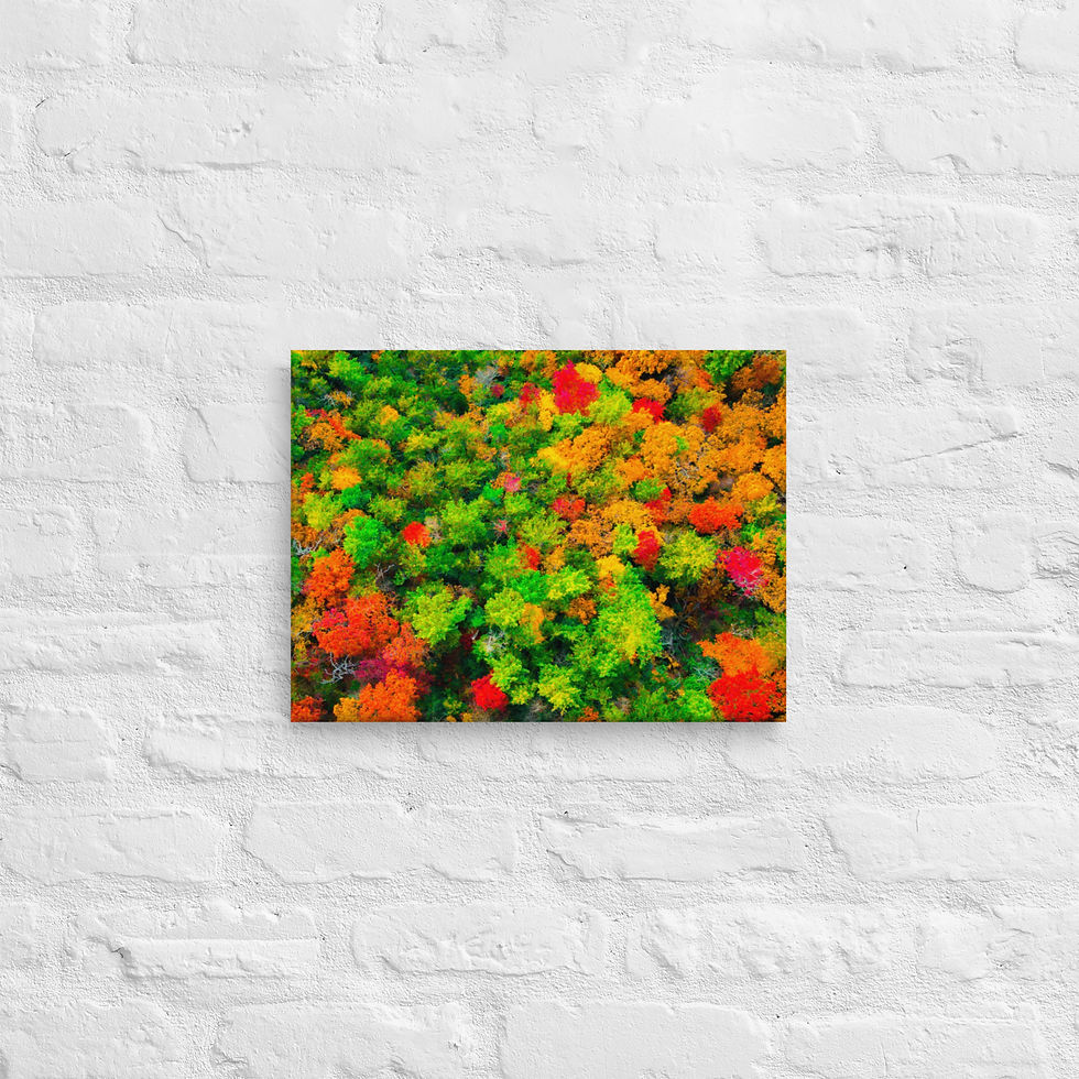 Thumbnail: Fall Leaves Canvas