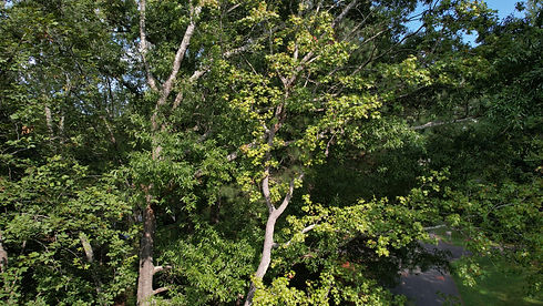 DJI_0430.JPG