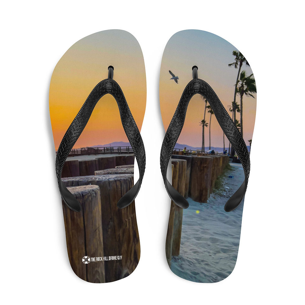 Thumbnail: Venice Beach Flip-Flops