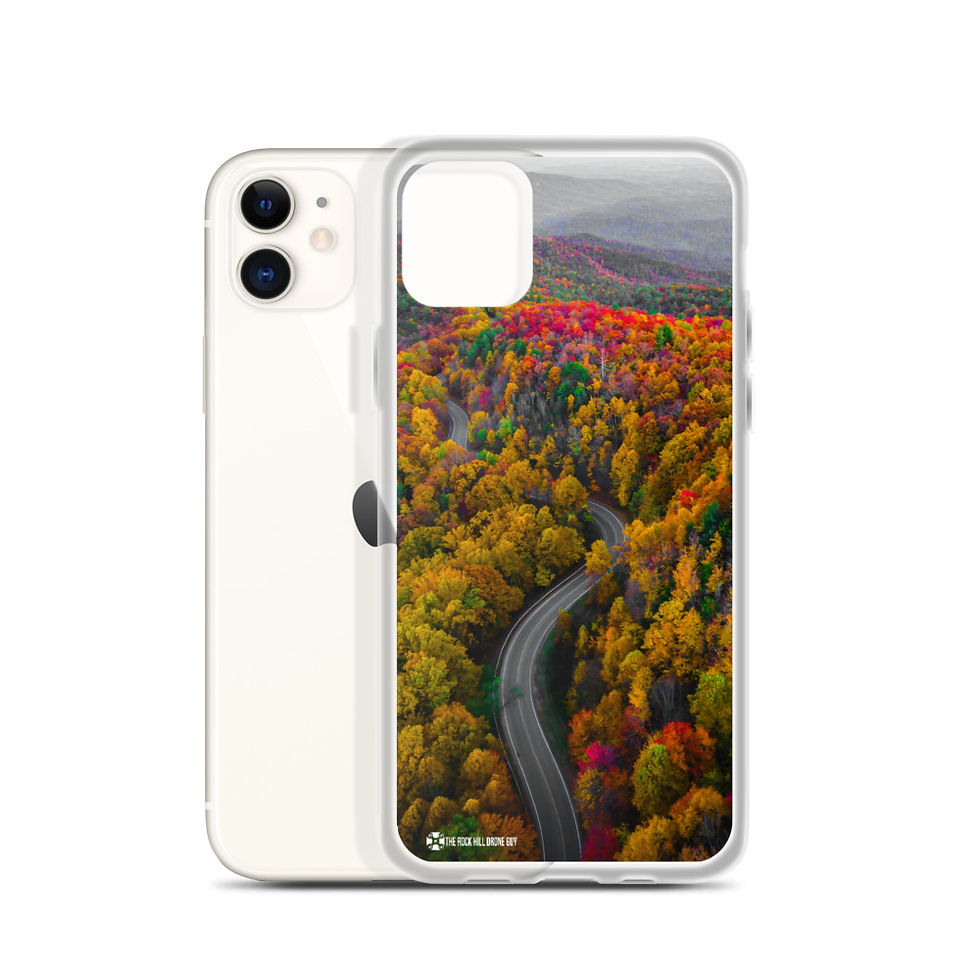Thumbnail: Fall Mountain Road