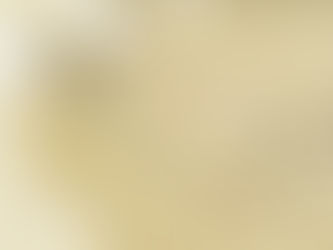 關於俄羅斯 2025/05/15