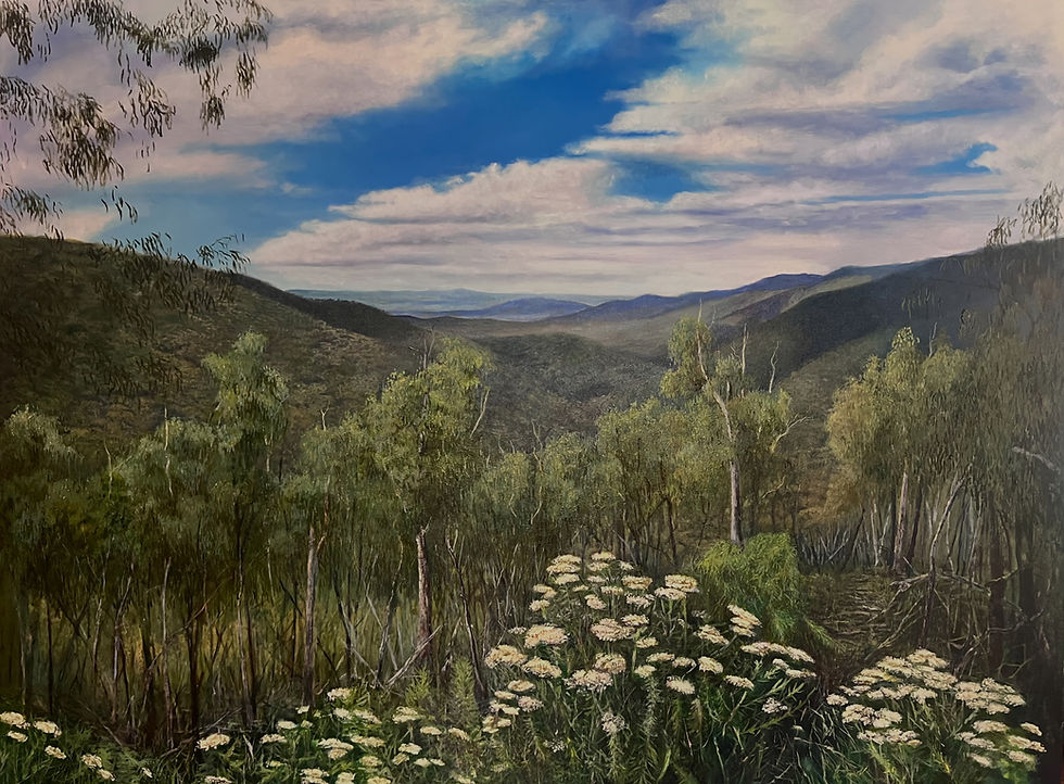 Artwork_Namadgi Expanse.JPG