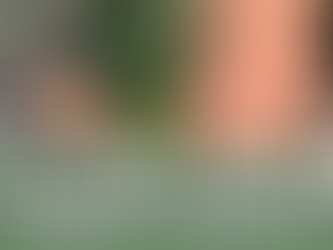 Refresh Your Brick Walkway With Lancside’s Power Washing Services