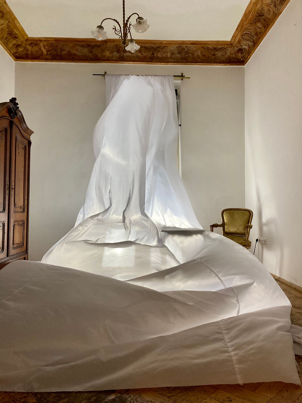 Alice_Strunkmann_meister_theCurtain1