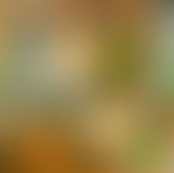 Dessinateur(trice) – Collaborateur(trice) d’architecte travaillant sur des plans et modélisations 3D pour des concepts de restaurants à Paris 8.