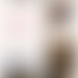 Architecte HMONP chef de projets travaux et construction suivi de chantier ERP restaurants Paris Vincennes