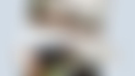 Assistant administratif travaux et architecture H/F – CDI – Paris 15 – Gestion de chantiers et suivi administratif