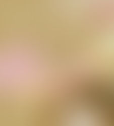 Architecte d’intérieur Chef de projets créa confirmé (e) – restaurants (H/F) 