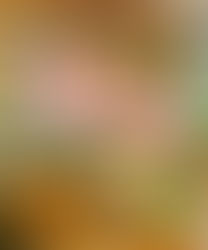 Dessinateur (trice) Collaborateur (trice) d’architecte (H/F)