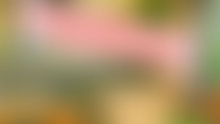 Dessinateur (trice) Collaborateur (trice) d’architecte (H/F)