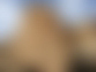 Blue Star Kachina Hopi Prophecy Rock Hopi Mesas Arizona