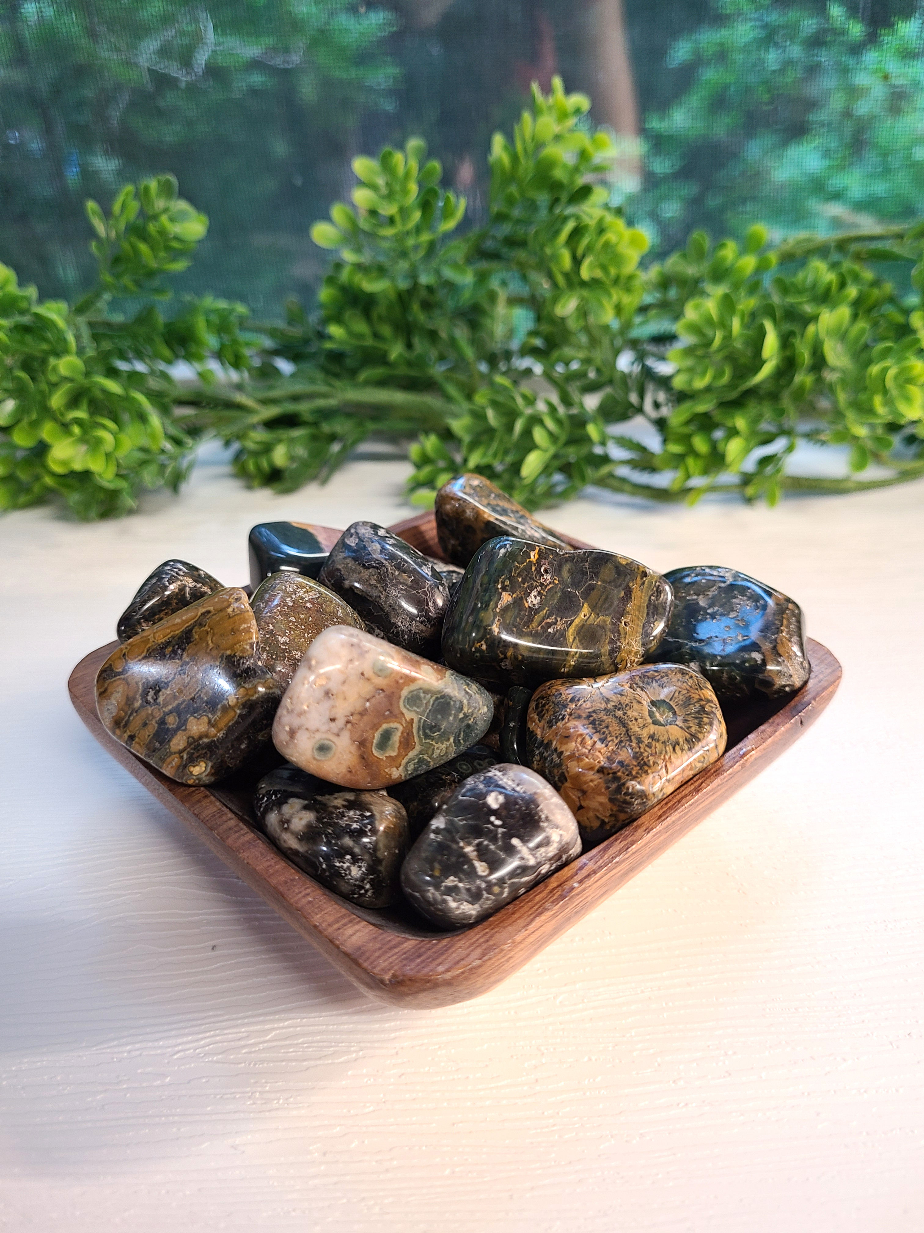 Ocean Jasper Tumbled Stones