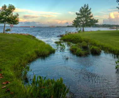 Thumbnail: Natural Florida Spring at Sunset