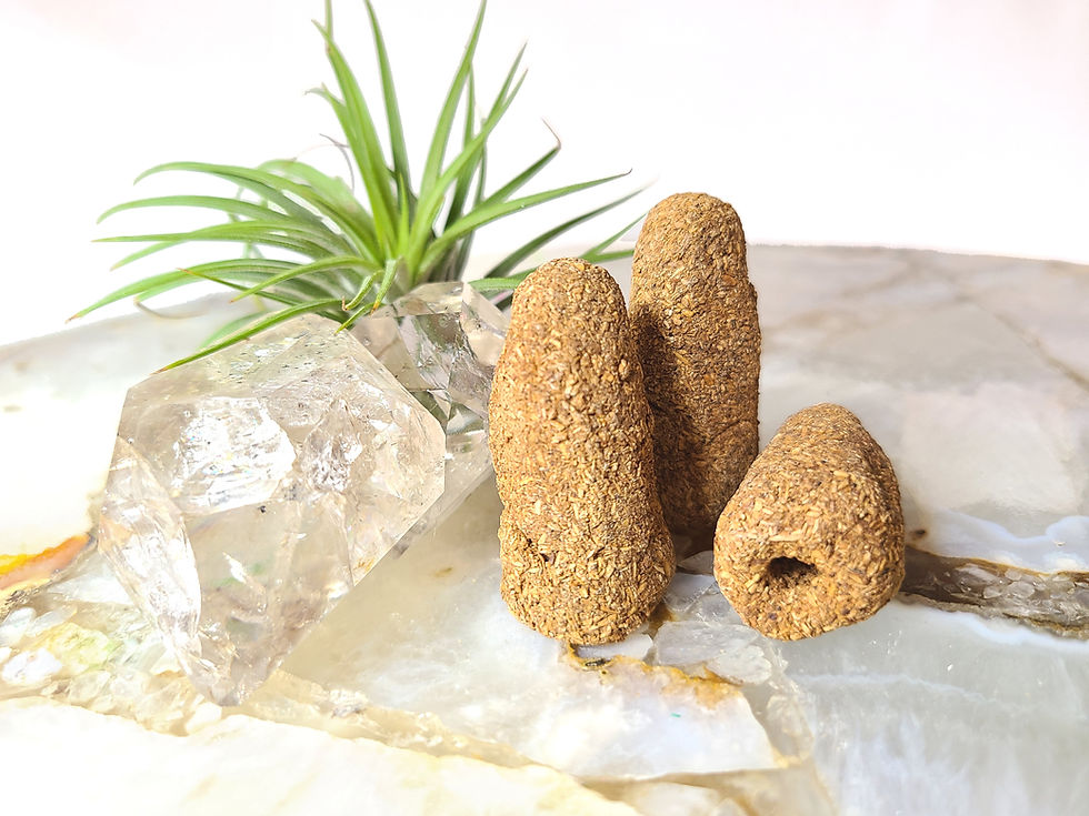 All Natural Peruvian Palo Santo Cones, Pack of 6