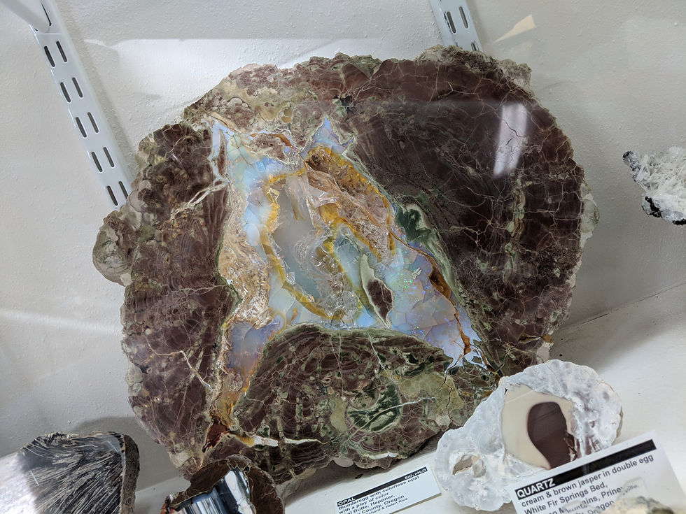 Opalized 'Thunderegg' likely created from a Fossilized Tree Root in Opal Butte Heppner, Morrow Country, Oregon - Photo from my visit to the RICE Museum of Rocks & Minerals Hillsboro, Oregon January 14, 2018