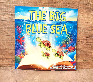 Big Blue Sea Childrens Book