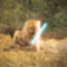 SAFARI LINK