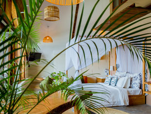 The Ivy VIlla. (add to interiors lodge design please).jpg