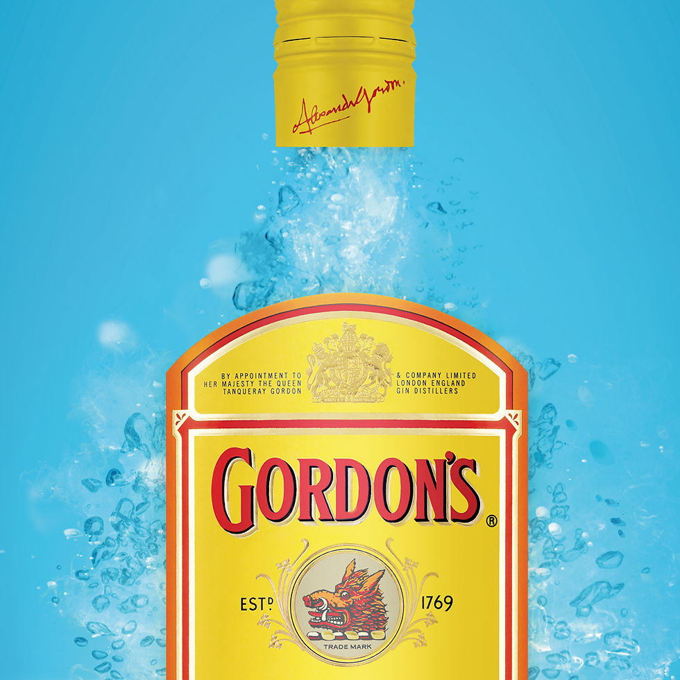 GORDON'S DRY GIN