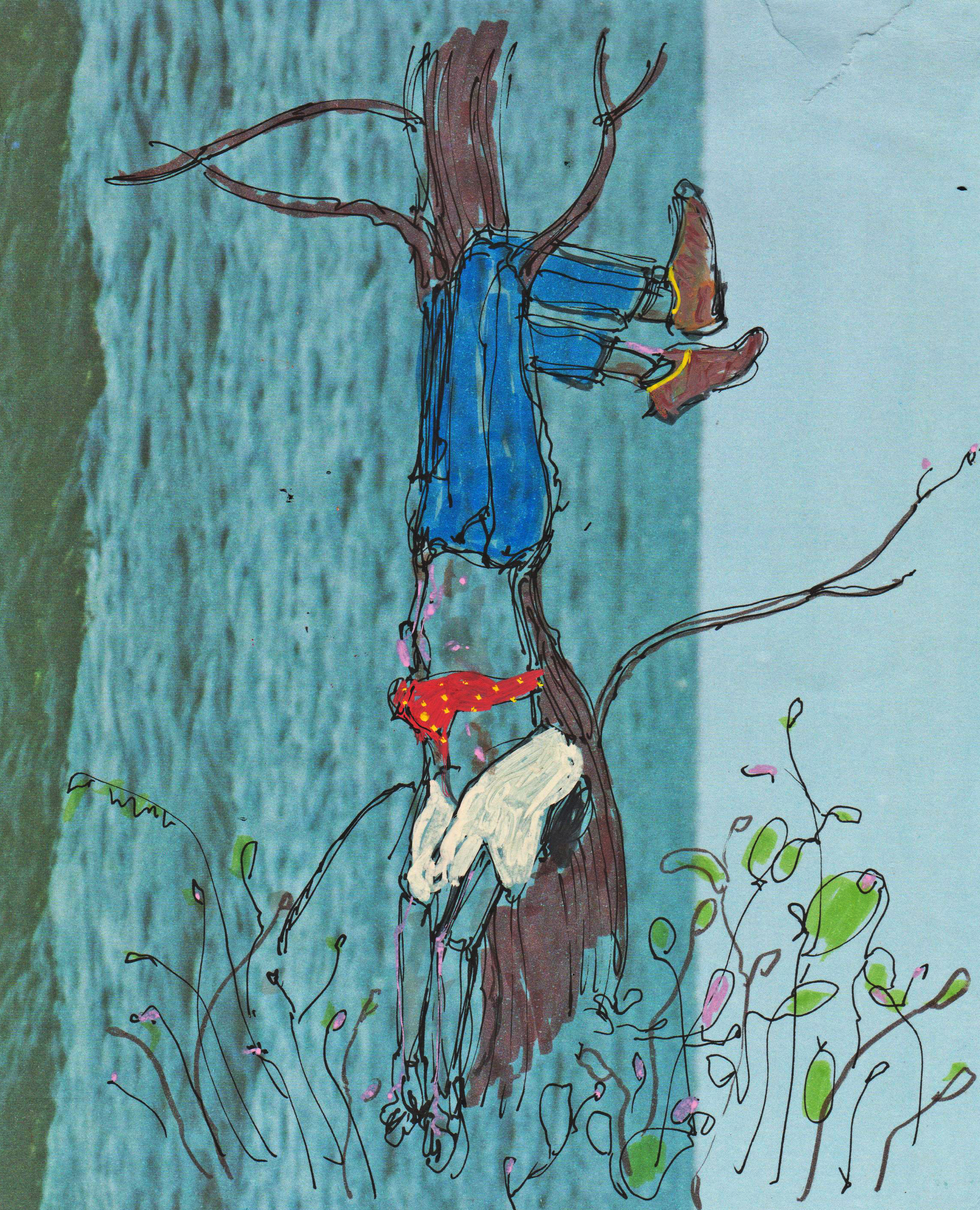 A jangada