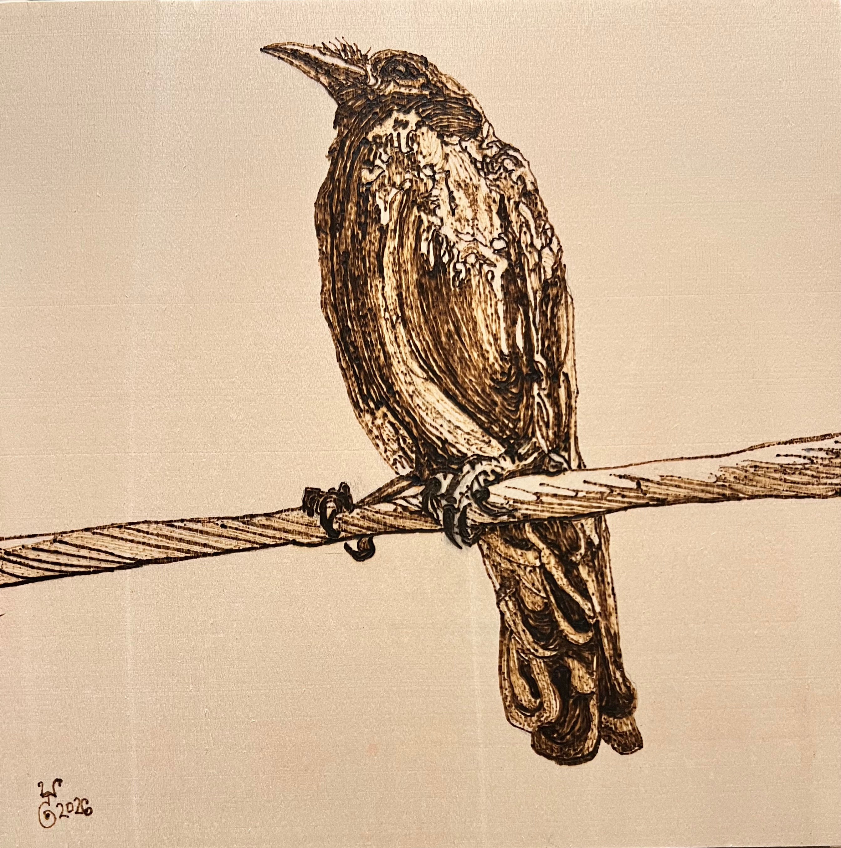 Rosanna Crow