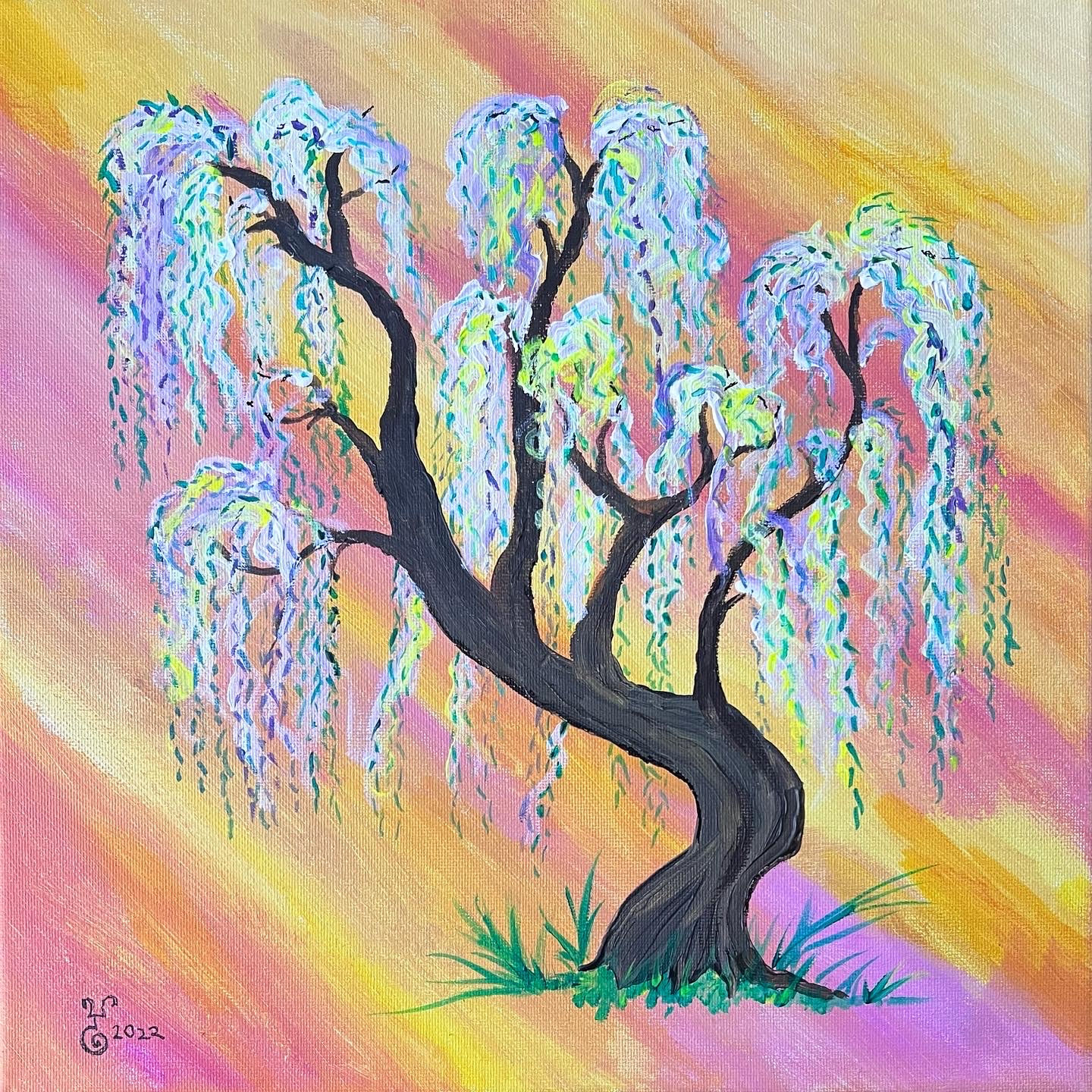 Weeping Willow Wonder