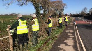 Willow Glen fence repairs