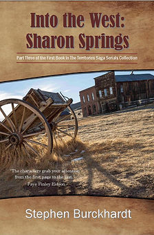 Sharon Springs 6x9 Book final_edited.jpg