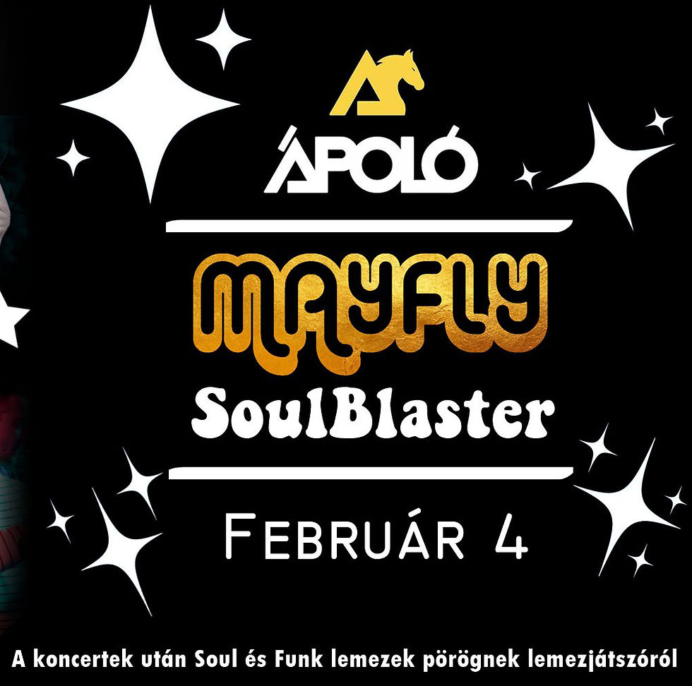 Ápoló Funky Night / Kecskemét // Ápoló Klub