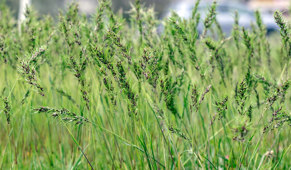 Image courtesy of Farmers' Almanac