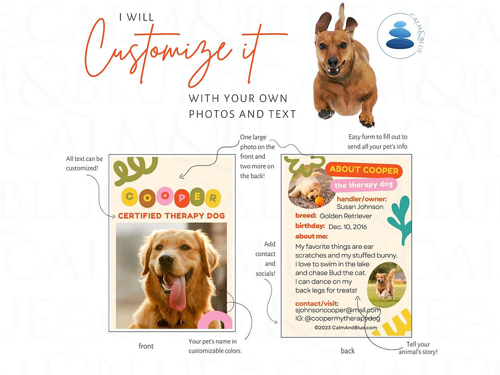 Thumbnail: Therapy Dog Trading Cards | "The Color Pops"