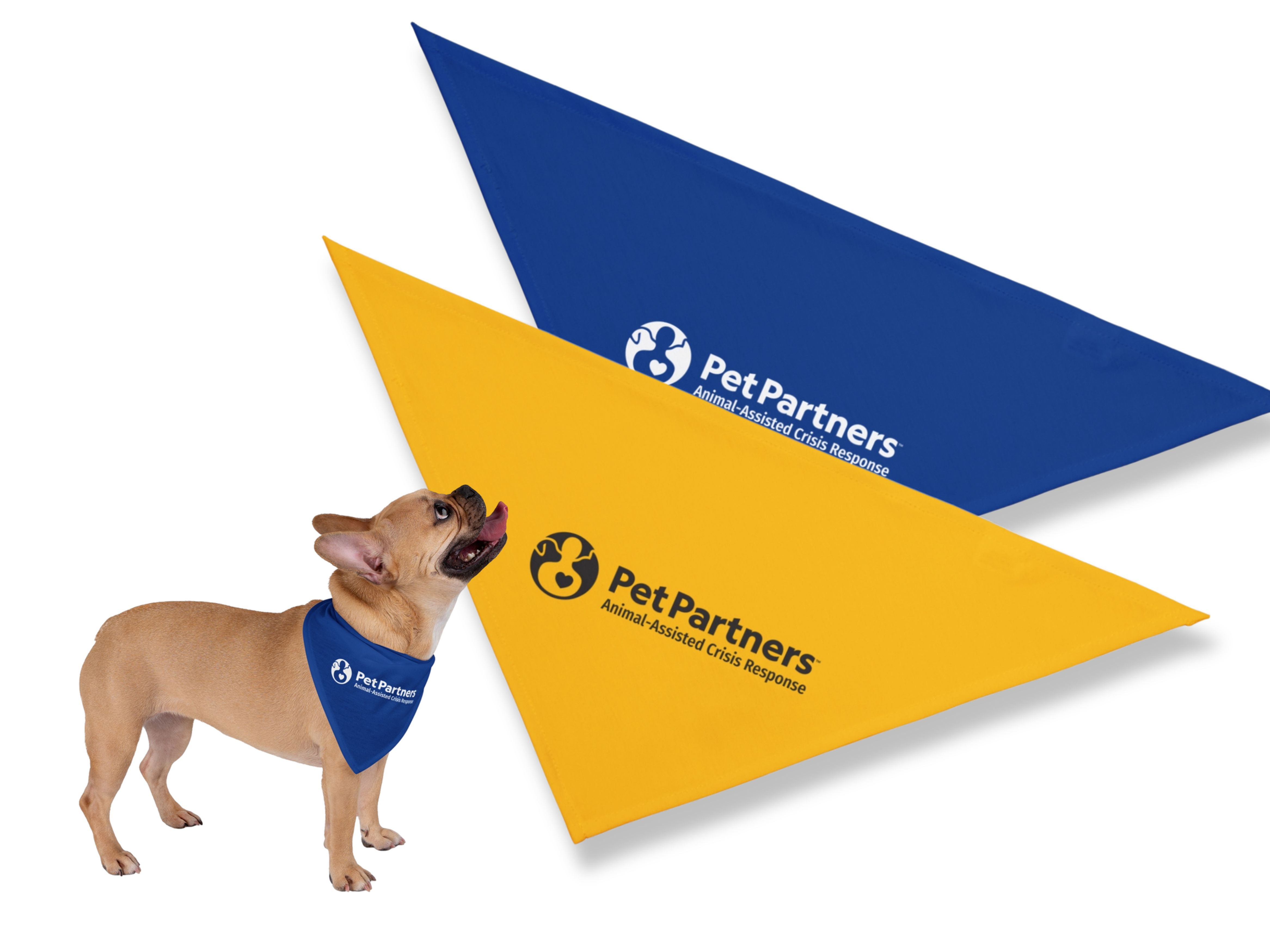 Tie Bandana | Pet Partners, AACR