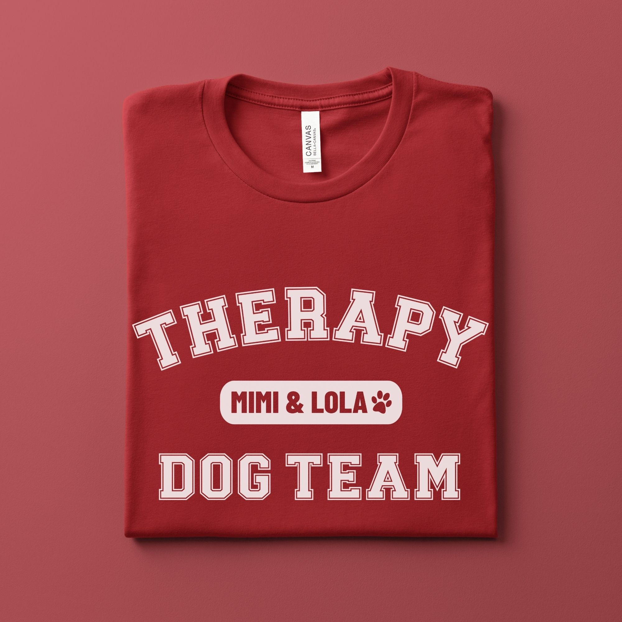 Therapy Dog Shirt | Team Spirit Duo