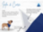 Thumbnail: Making Spirits Bright | Pet Partners Holiday Tie Bandana