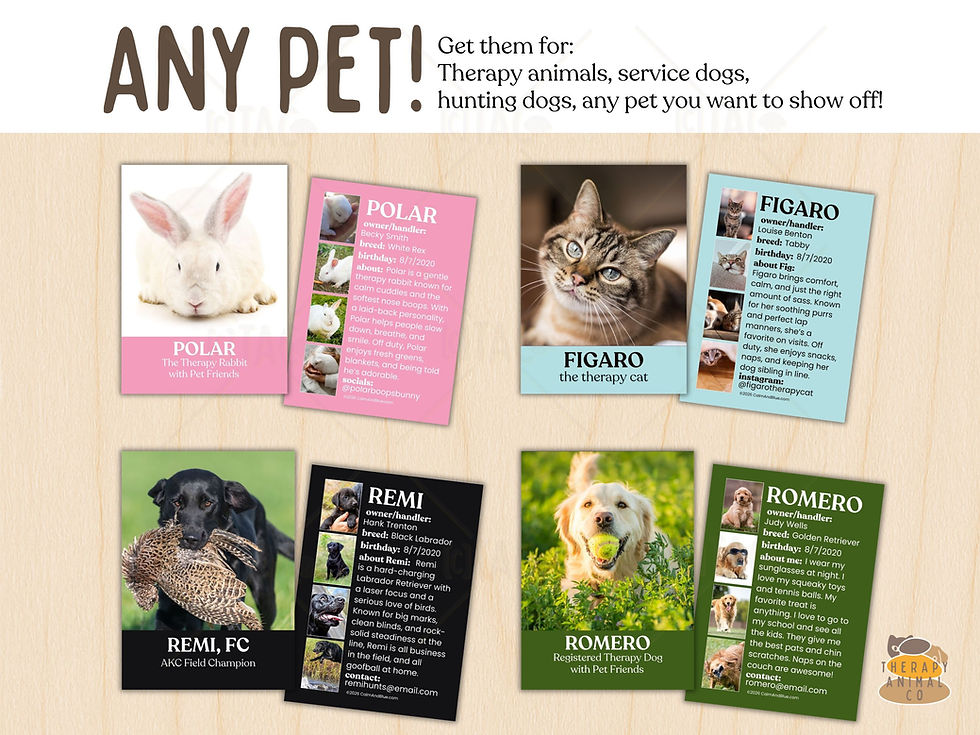Thumbnail: Therapy Dog Trading Cards | Beauty Shot