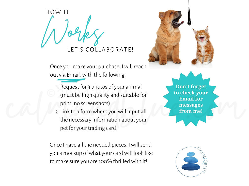 Thumbnail: How the process works with your therapy dog trading card designer.