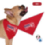 Thumbnail: Pawtriotic | Pet Partners Tie Dog Bandana