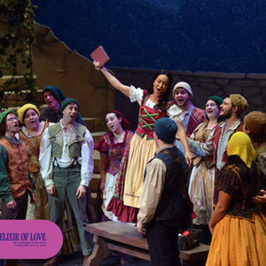 L'elisir d'amore