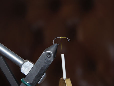 Fly Tying: Balanced Ruby Eyed Leech